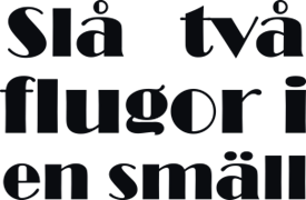 Slå två flugor i en smäll