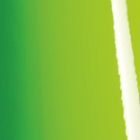 Gloss Grass Green - O BP1180001