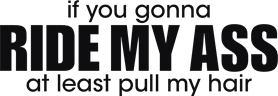 If you gonna ride my ass at least pull my hair