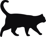 Katt siluett