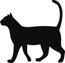 Katt siluett
