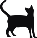 Katt siluett