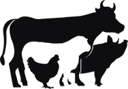 Ko, gris, får & höna