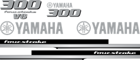 Yamaha 300hk V6